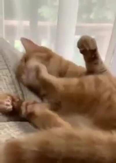 Am I doing this right?