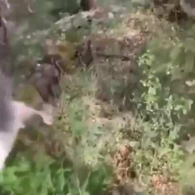 Helping a lost dude.