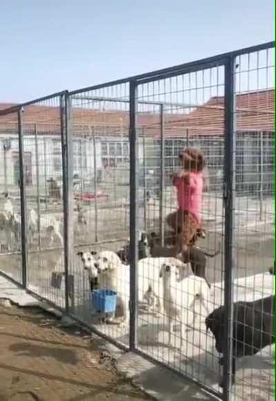 The rebellion starts today...