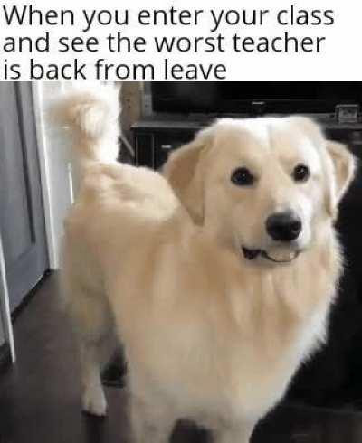 Why did you have to come back?