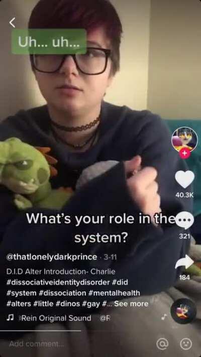 They put a “Gay” tag on their little introduction. Also, on a side note, why does their 8 year old alter act like he’s 2?