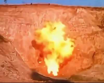 So this Japanese hero nuked a dad tick so baby tick followed