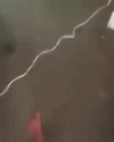 Fake😡😡😡😡