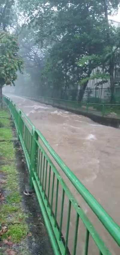 Drain near farrer road about to flood