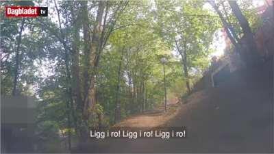 Insane police car chase after armed robbers.