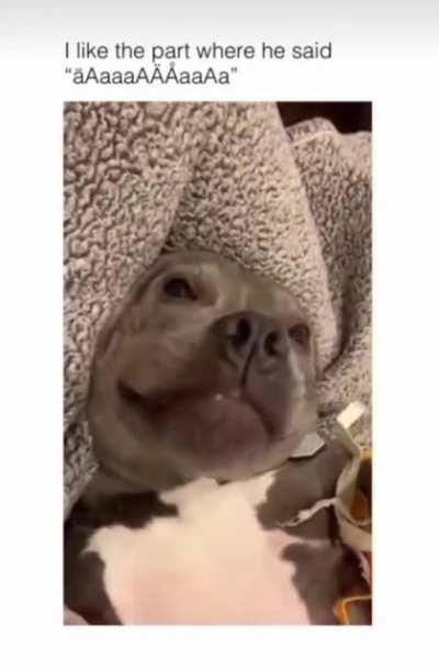 Truly speaks like a Wookiee.