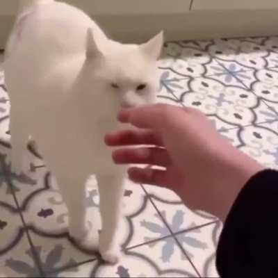 Classic case of pet me actually no I hate you.