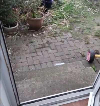 He’s been training his entire life for this moment