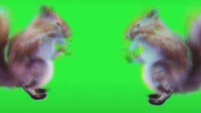 I make dumb useless videos when I’m bored