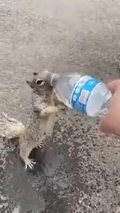 a lot of nuts make you thirsty