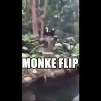 Se que esta bastante quemado el meme, pero este esta bien chingon jajajaja