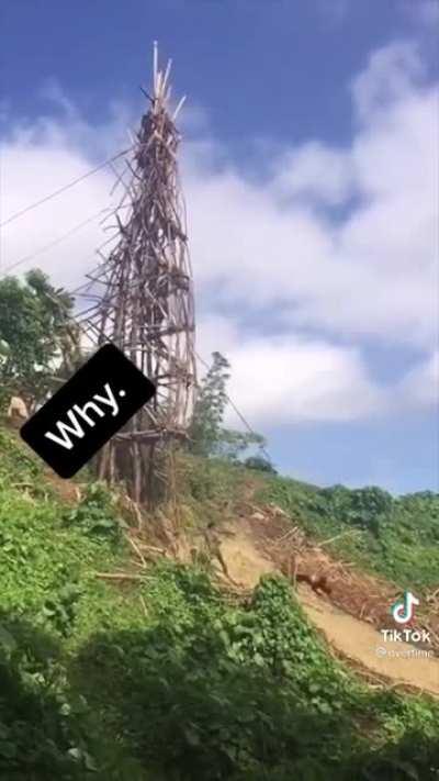 Homemade bungee jump because reasons?