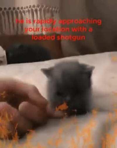 he is fastly approaching!!