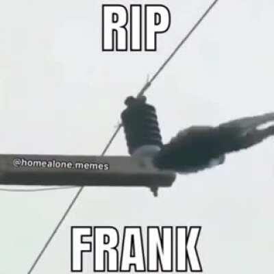 um macaquinho durinho