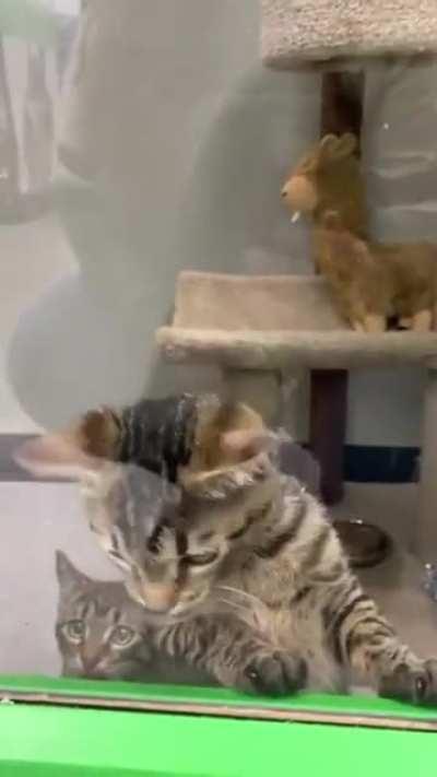 Hey all’s fair in love and war