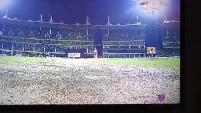 Sisanda Magala's virginal buttocks.