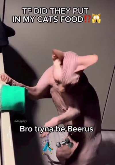 Have cat steroids gone too far?