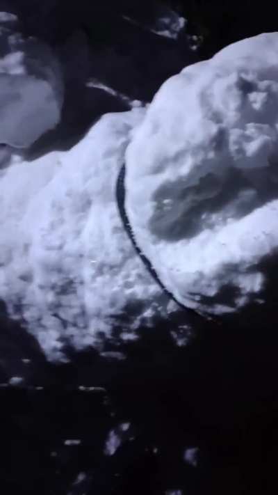 The brutal murder of Brad and Jimothy