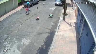 Potato shaped POS attacks lady instead of having a leash on his dogs