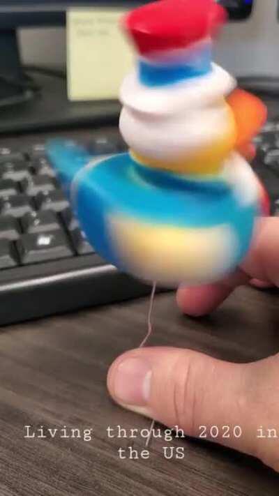 It's been a wild year