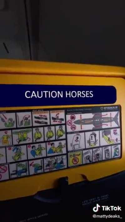 Caution horses