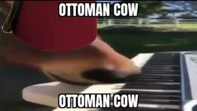 When da cow has drip 🥵🥵🥵