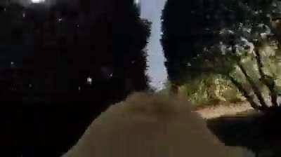 The perfect soundtrack to a repost.