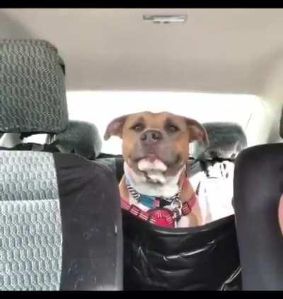 Hey…I got somethin to say..