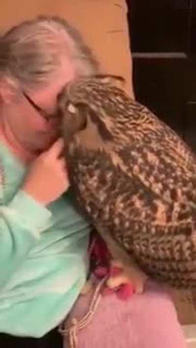 Совушкины нежности