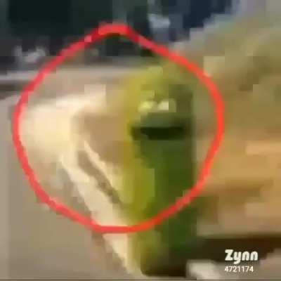 Cursed_pickle