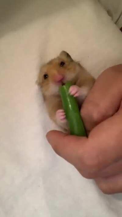 Some ASMR. Munching on a green beans