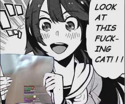 meme para la pecky 💜