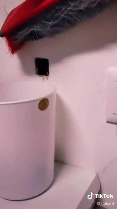 How to Unclog Your Walls with a Wall Snek