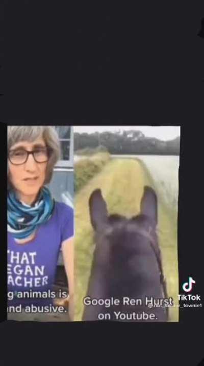 I see we have an untrained horse