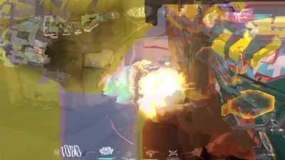 skye's dog decided to be a hero