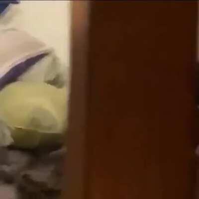 Thomas! What are you doing?