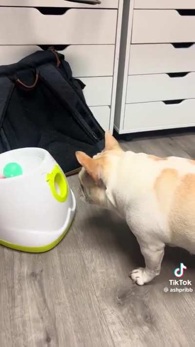 He's still working on the rules