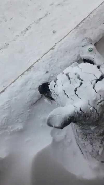 Who I am? Where is this?