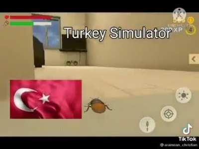 Average life of a turk