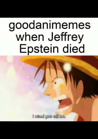 Average goodanimememes user