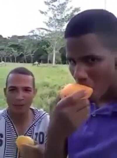 Upvote por mi pana Wellington San