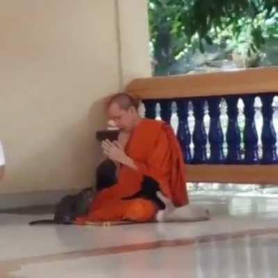 Thai Buddhist monk: I... will... keep... praying...