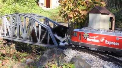 The ultimate standoff