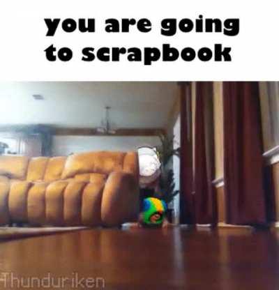 Would you let her take you?