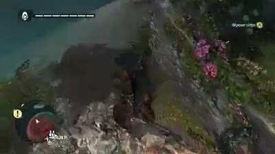 [Assassin's Creed 4: Black Flag] Aye mateys,he just flew away!