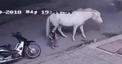 Phew, close call. Oh wait.