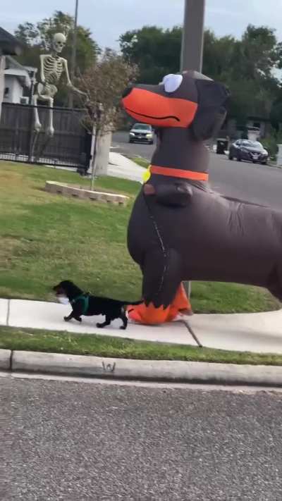 Inflatable Dog Costume 🐶