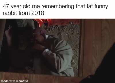 big big big chungus big chungus