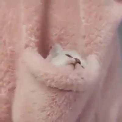 Man sollte immer einen Taschenschmus mit dabei haben