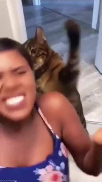 I&rsquo;m not sure if this counts. Reckon?